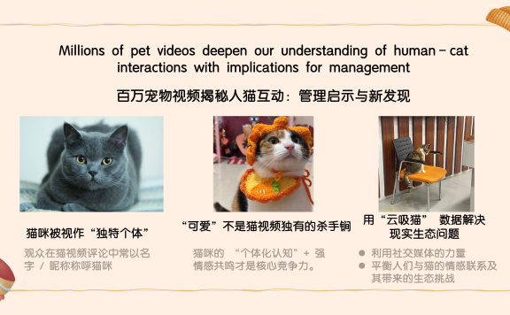 百万宠物视频揭秘人猫互动：管理启示与新发现